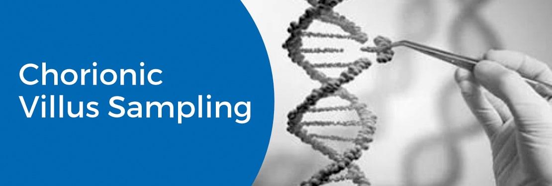 Chorionic Villus Sampling (CVS): Early Genetic Testing